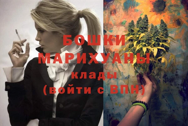 индика Балабаново