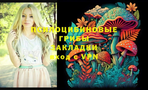 индика Балабаново