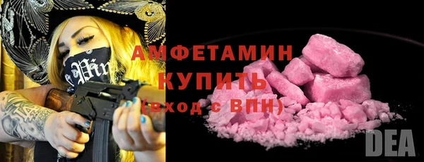 индика Балабаново