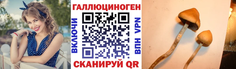 продажа наркотиков  Нязепетровск  Галлюциногенные грибы Magic Shrooms 